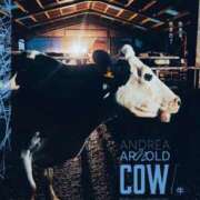 ヒメ日記 2025/09/26 06:26 投稿 桜木 熟女の風俗最終章 新横浜店