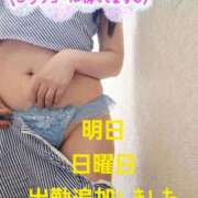 ヒメ日記 2025/09/27 12:36 投稿 桜木 熟女の風俗最終章 新横浜店