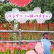 ヒメ日記 2025/09/28 11:46 投稿 桜木 熟女の風俗最終章 新横浜店