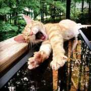 ヒメ日記 2025/10/10 22:49 投稿 桜木 熟女の風俗最終章 新横浜店