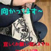 ヒメ日記 2025/11/05 11:38 投稿 桜木 熟女の風俗最終章 新横浜店