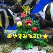 ヒメ日記 2025/12/23 23:06 投稿 桜木 熟女の風俗最終章 新横浜店