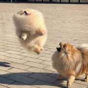 ヒメ日記 2026/01/13 22:46 投稿 桜木 熟女の風俗最終章 新横浜店