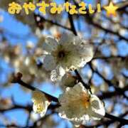 ヒメ日記 2026/01/31 23:16 投稿 桜木 熟女の風俗最終章 新横浜店