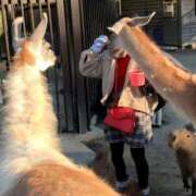 ヒメ日記 2026/03/07 00:06 投稿 桜木 熟女の風俗最終章 新横浜店