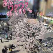 ヒメ日記 2026/03/24 11:46 投稿 桜木 熟女の風俗最終章 新横浜店