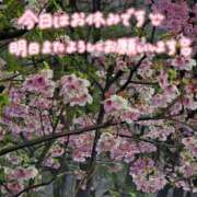 ヒメ日記 2026/03/26 23:46 投稿 桜木 熟女の風俗最終章 新横浜店