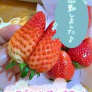 ヒメ日記 2026/03/27 12:16 投稿 桜木 熟女の風俗最終章 新横浜店