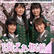 ヒメ日記 2026/04/13 10:36 投稿 桜木 熟女の風俗最終章 新横浜店