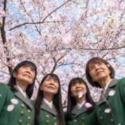 ヒメ日記 2026/04/18 10:46 投稿 桜木 熟女の風俗最終章 新横浜店