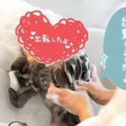 ヒメ日記 2026/05/13 15:26 投稿 桜木 熟女の風俗最終章 新横浜店