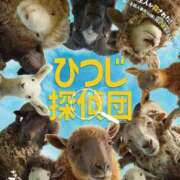 ヒメ日記 2026/05/18 06:26 投稿 桜木 熟女の風俗最終章 新横浜店
