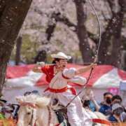 ヒメ日記 2026/05/19 10:16 投稿 桜木 熟女の風俗最終章 新横浜店