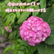 ヒメ日記 2026/05/27 22:26 投稿 桜木 熟女の風俗最終章 新横浜店