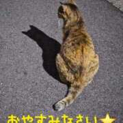 ヒメ日記 2026/08/13 23:06 投稿 桜木 熟女の風俗最終章 新横浜店