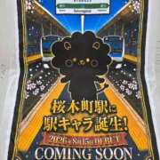 ヒメ日記 2026/08/14 22:56 投稿 桜木 熟女の風俗最終章 新横浜店