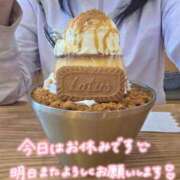 ヒメ日記 2026/08/18 19:56 投稿 桜木 熟女の風俗最終章 新横浜店