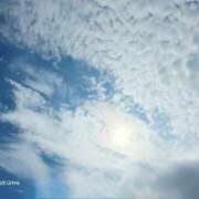ヒメ日記 2026/09/13 15:26 投稿 桜木 熟女の風俗最終章 新横浜店