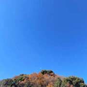 ヒメ日記 2025/01/15 21:46 投稿 ともえ 熟女家 京橋店