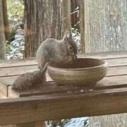 ヒメ日記 2025/01/22 19:36 投稿 ともえ 熟女家 京橋店