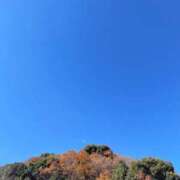 ともえ こんばんは 熟女家 京橋店