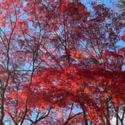 ヒメ日記 2025/10/19 09:36 投稿 ともえ 熟女家 京橋店