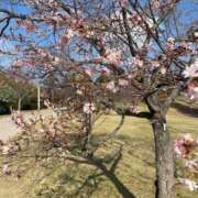 ヒメ日記 2025/12/30 16:46 投稿 ともえ 熟女家 京橋店