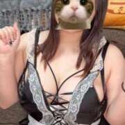 ヒメ日記 2025/03/27 12:18 投稿 よぞら ぷるるんギャング