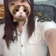 ヒメ日記 2025/06/16 12:35 投稿 よぞら ぷるるんギャング