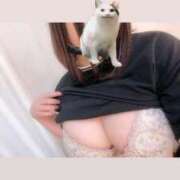 ヒメ日記 2025/10/09 22:45 投稿 よぞら ぷるるんギャング