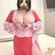 ヒメ日記 2025/11/01 12:55 投稿 よぞら ぷるるんギャング