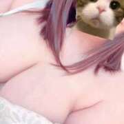 ヒメ日記 2025/11/19 15:25 投稿 よぞら ぷるるんギャング