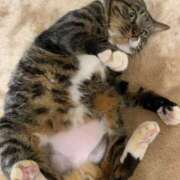 ヒメ日記 2024/12/20 12:54 投稿 ちえり 人妻倶楽部 内緒の関係 大宮店