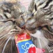 ヒメ日記 2025/04/25 12:45 投稿 ちえり 人妻倶楽部 内緒の関係 大宮店