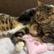 ヒメ日記 2025/06/07 07:54 投稿 ちえり 人妻倶楽部 内緒の関係 大宮店