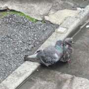 ヒメ日記 2025/08/12 16:54 投稿 ちえり 人妻倶楽部 内緒の関係 大宮店