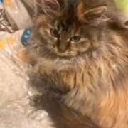 ヒメ日記 2025/09/11 23:34 投稿 ちえり 人妻倶楽部 内緒の関係 大宮店