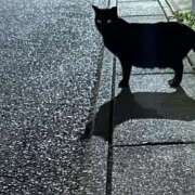 ヒメ日記 2025/11/23 23:14 投稿 ちえり 人妻倶楽部 内緒の関係 大宮店