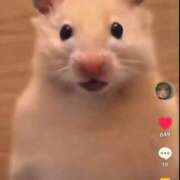 ヒメ日記 2025/12/02 22:34 投稿 ちえり 人妻倶楽部 内緒の関係 大宮店