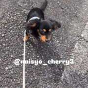 ヒメ日記 2025/12/22 14:14 投稿 ちえり 人妻倶楽部 内緒の関係 大宮店