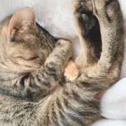 ヒメ日記 2026/01/08 06:24 投稿 ちえり 人妻倶楽部 内緒の関係 大宮店