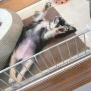 ヒメ日記 2026/01/18 13:44 投稿 ちえり 人妻倶楽部 内緒の関係 大宮店