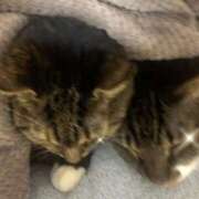 ヒメ日記 2026/03/26 06:34 投稿 ちえり 人妻倶楽部 内緒の関係 大宮店