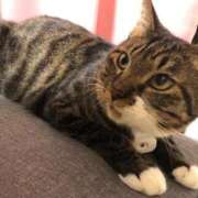 ヒメ日記 2026/04/28 20:44 投稿 ちえり 人妻倶楽部 内緒の関係 大宮店