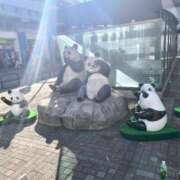 ヒメ日記 2024/12/21 21:52 投稿 わか ごほうびSPA上野店