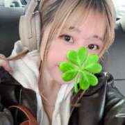 ヒメ日記 2024/12/19 10:50 投稿 椿さく ウルトラグレイス24