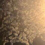 ヒメ日記 2025/04/02 09:00 投稿 椿さく ウルトラグレイス24