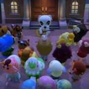 ヒメ日記 2025/06/01 14:20 投稿 椿さく ウルトラグレイス24