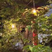 ヒメ日記 2025/08/28 16:20 投稿 椿さく ウルトラグレイス24