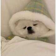 ヒメ日記 2025/01/13 10:23 投稿 ルル ミセスコレクション